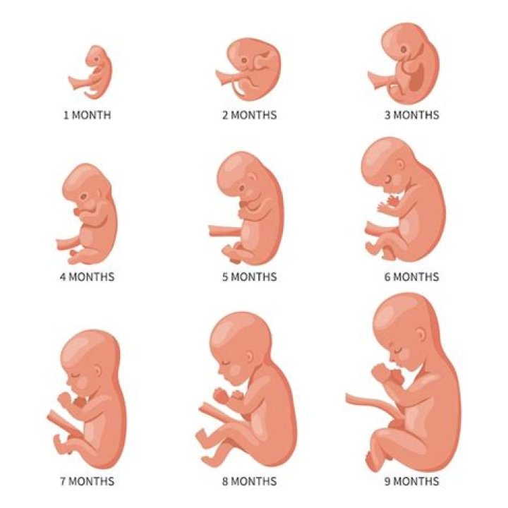
Celebrities have in different ways reacted to the gory story of father allegedly beating two months old baby 